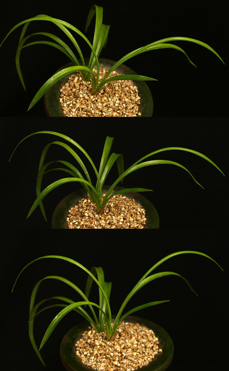 ������ ū������ �� �� �ֽ��ϴ�.