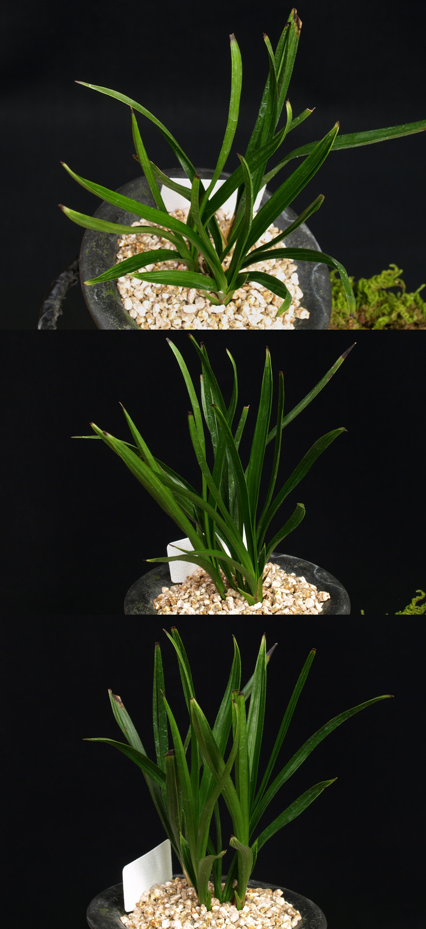 ������ ū������ �� �� �ֽ��ϴ�.