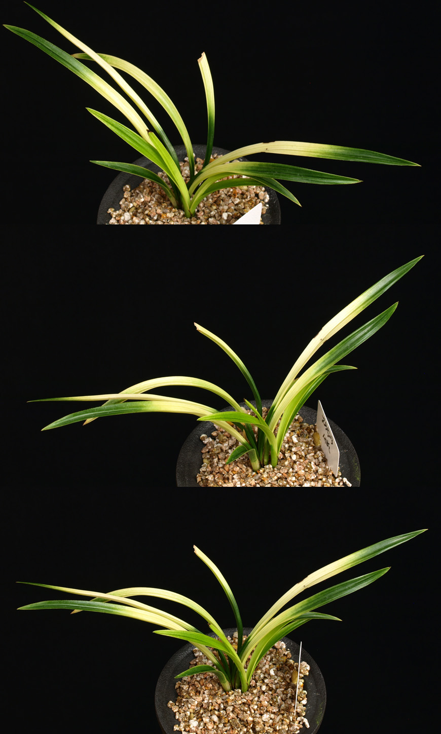 ������ ū������ �� �� �ֽ��ϴ�.