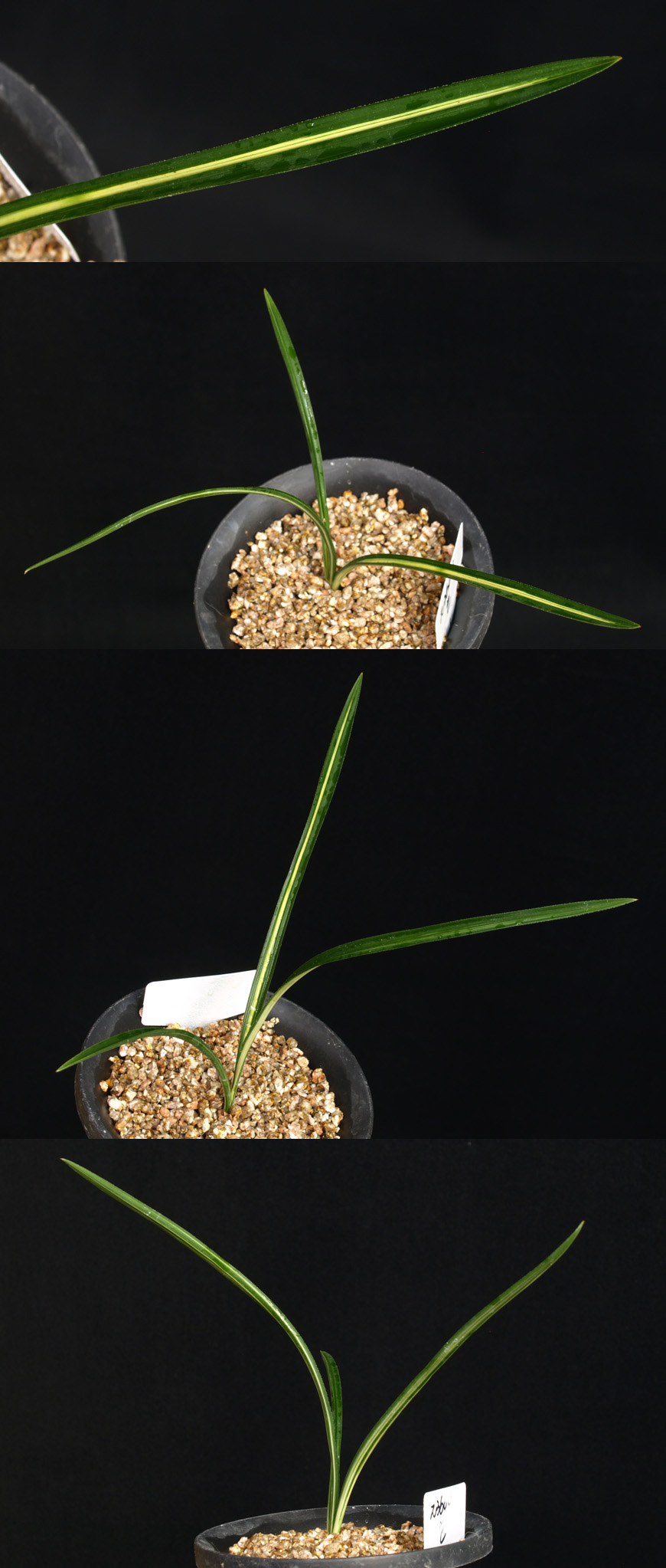 ������ ū������ �� �� �ֽ��ϴ�.