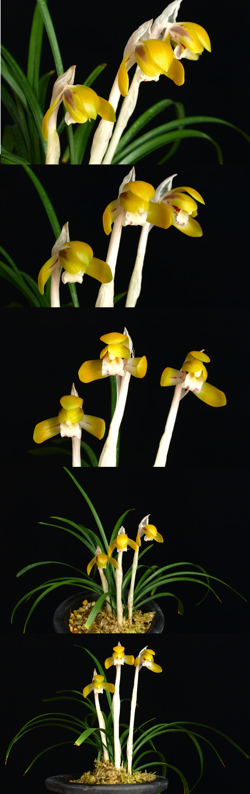 ������ ū������ �� �� �ֽ��ϴ�.