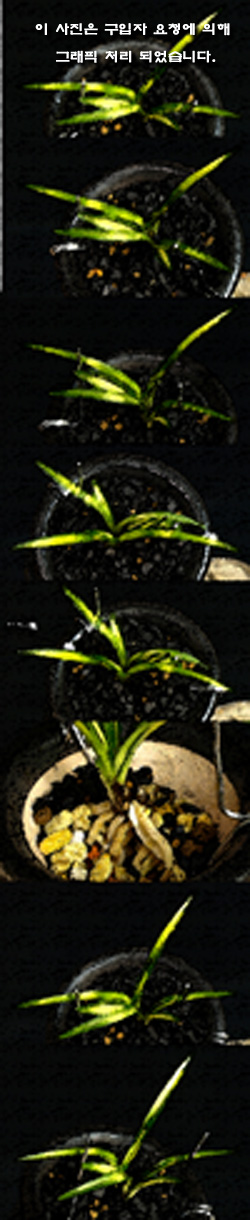 ������ ū������ �� �� �ֽ��ϴ�.