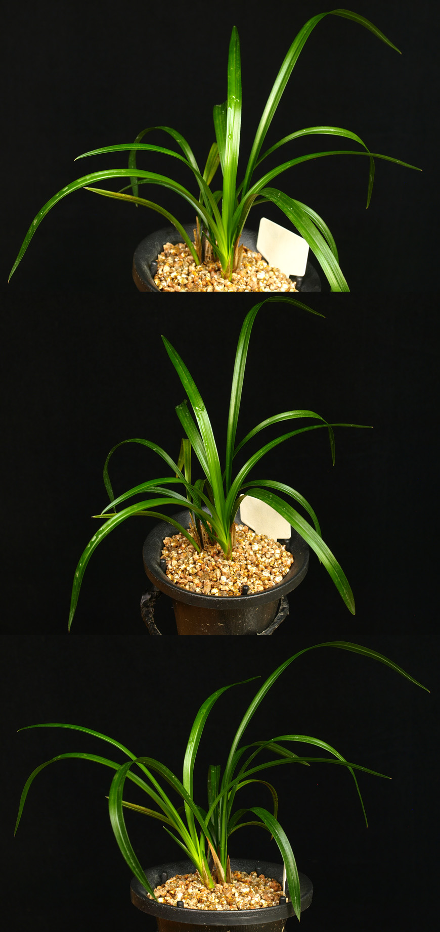 ������ ū������ �� �� �ֽ��ϴ�.