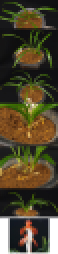 ������ ū������ �� �� �ֽ��ϴ�.