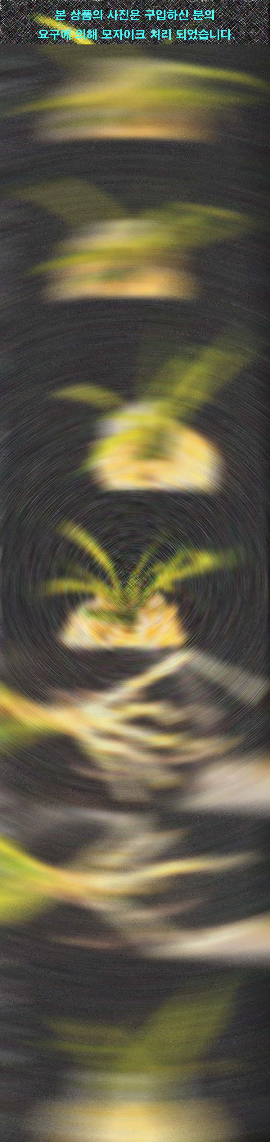 ������ ū������ �� �� �ֽ��ϴ�.